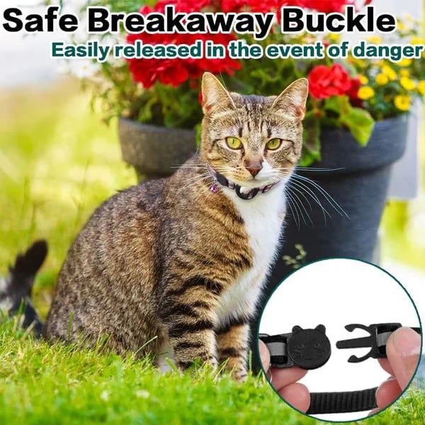 🔥 LAST DAY 60% OFF🎁 Collar For Cat