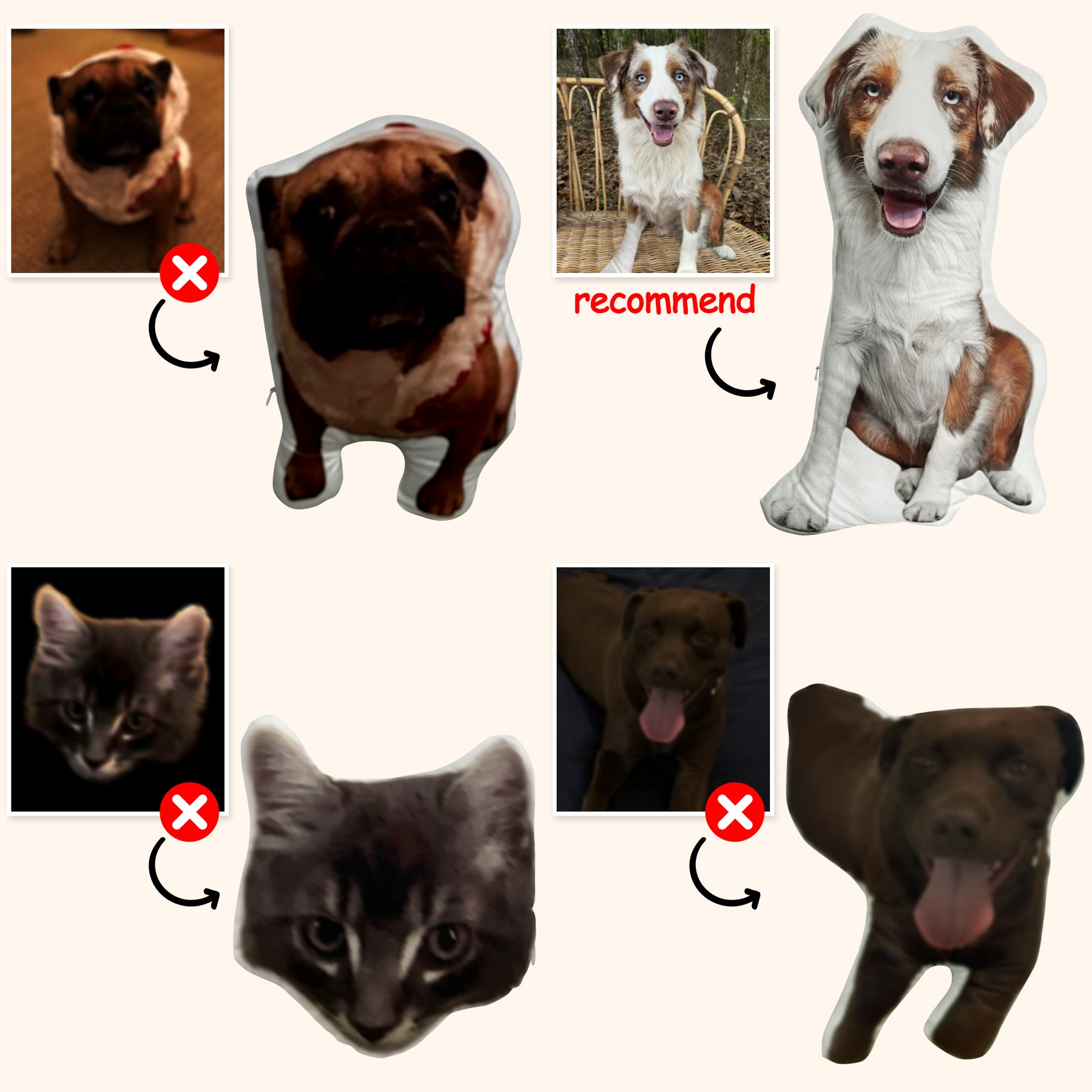 Create Your Own Custom Pet Pillow