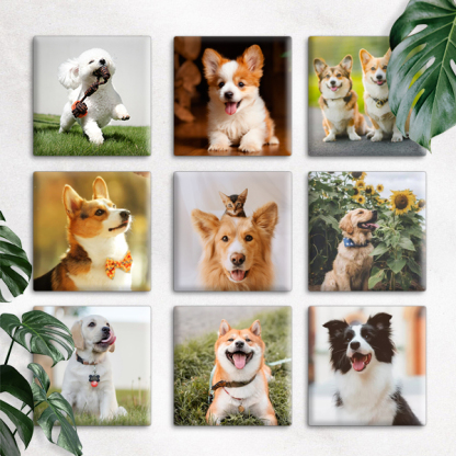 Capture the Love, Magnify Your Pet Memories! 📸🐾 - Custom Photo Memory Magnets