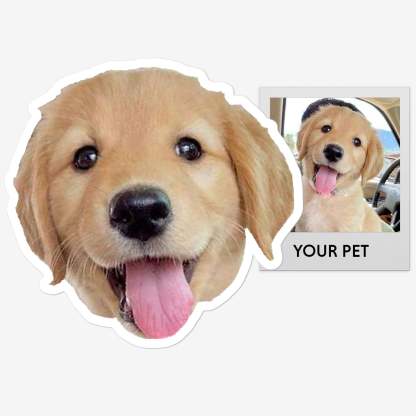 Custom Pet Sticker – Personalized Pet Photo Decal