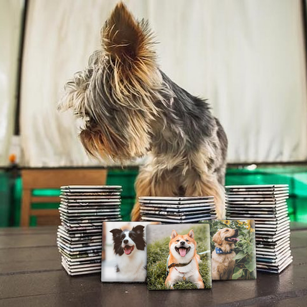 Capture the Love, Magnify Your Pet Memories! 📸🐾 - Custom Photo Memory Magnets