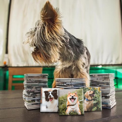 Capture the Love, Magnify Your Pet Memories! 📸🐾 - Custom Photo Memory Magnets