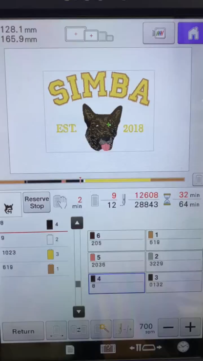 Personalized Sweatshirt with "SIMBA" Pet Portrait Embroidery