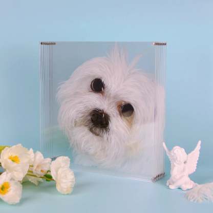 Custom 3D Glass Painting Pet Painting Cat/Dog Portrait Art-Artloverhouse