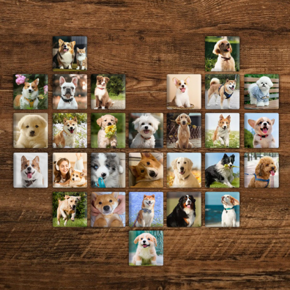 Capture the Love, Magnify Your Pet Memories! 📸🐾 - Custom Photo Memory Magnets
