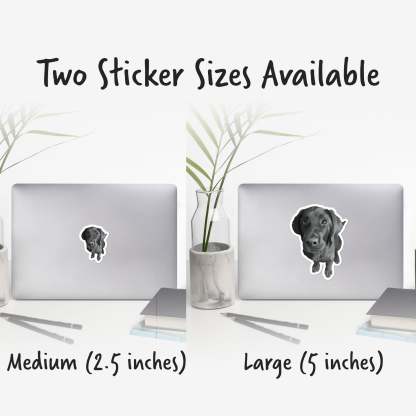 Custom Pet Sticker – Personalized Pet Photo Decal
