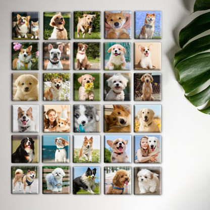 Capture the Love, Magnify Your Pet Memories! 📸🐾 - Custom Photo Memory Magnets