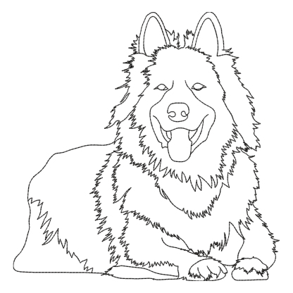 Custom Pet Photo Music Embroidery Player