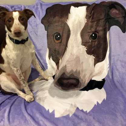Custom Pet Print Fleece Sherpa Blanket Upload Multiple Pets