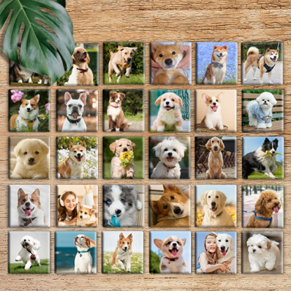 Capture the Love, Magnify Your Pet Memories! 📸🐾 - Custom Photo Memory Magnets