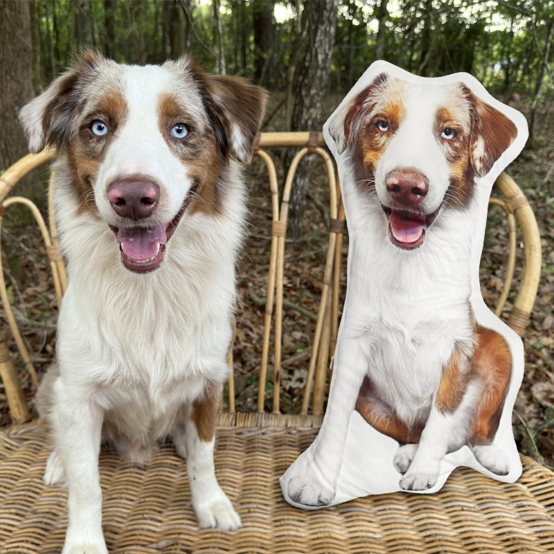 Create Your Own Custom Pet Pillow