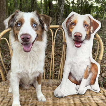 Create Your Own Custom Pet Pillow