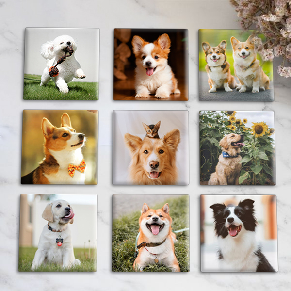 Capture the Love, Magnify Your Pet Memories! 📸🐾 - Custom Photo Memory Magnets