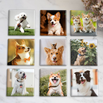 Capture the Love, Magnify Your Pet Memories! 📸🐾 - Custom Photo Memory Magnets