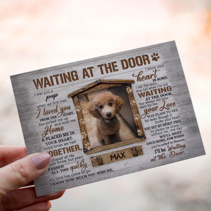 Waiting At The Door 2 - Custom Crochet Doll of a Loyal Pup