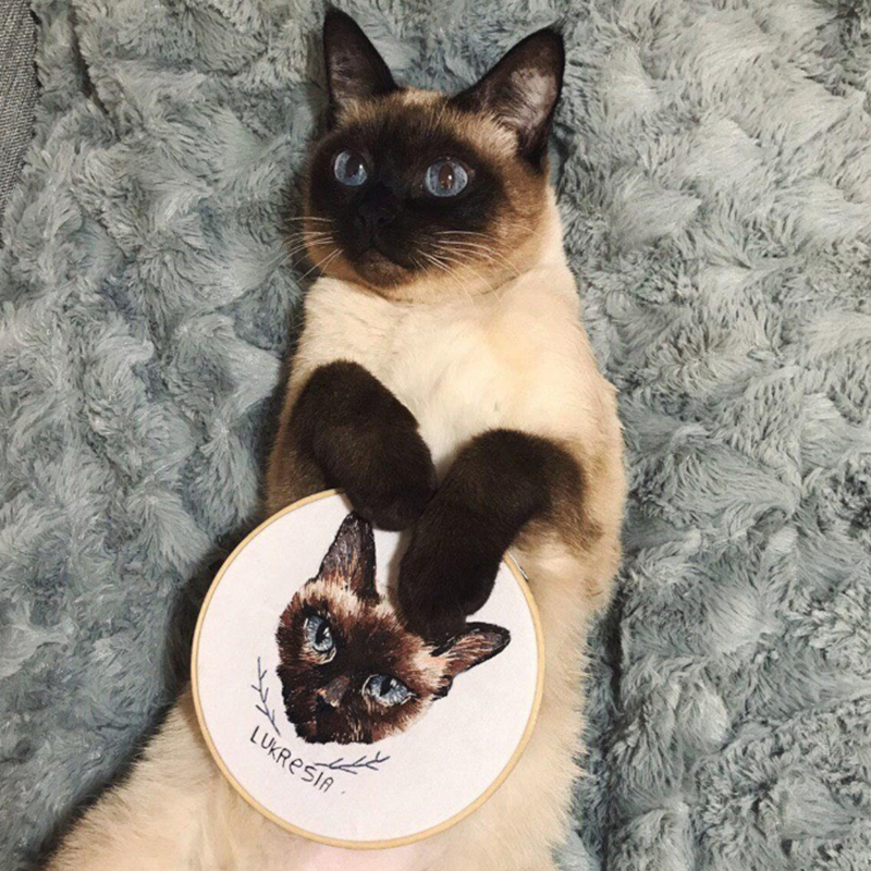 Personalized Embroidery Hoop With Multiple Photos For Cute Pets