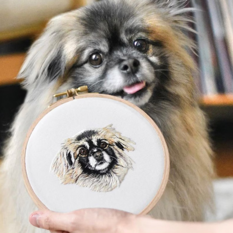 Personalized Embroidery Hoop Customized Photo Fun Home Decor
