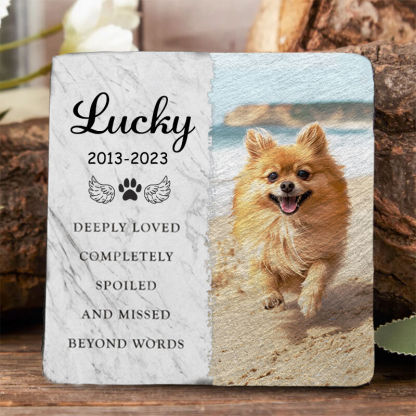 Customized Pet Memorial Stones Cat/Dog Memorial Gifts for Loss of Pet