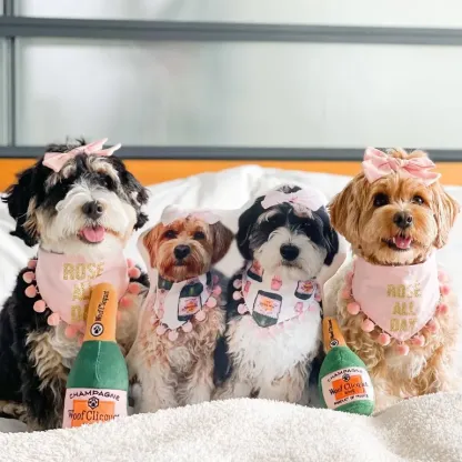 Create Your Own Custom Pet Pillow