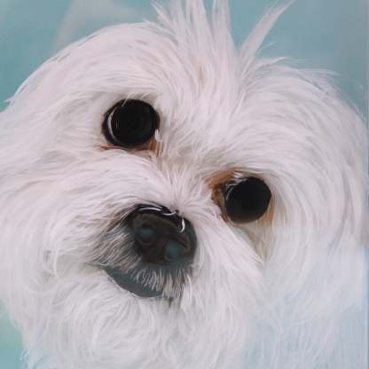 Custom 3D Glass Painting Pet Painting Cat/Dog Portrait Art-Artloverhouse