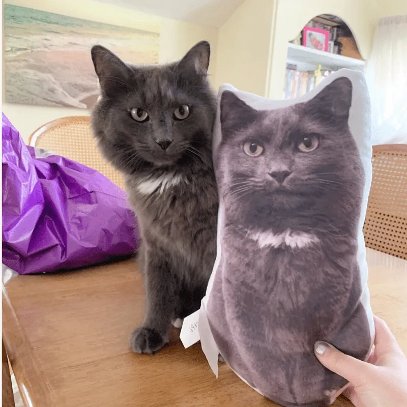 Create Your Own Custom Pet Pillow