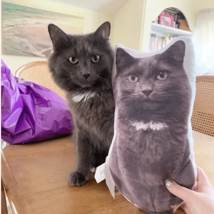 Create Your Own Custom Pet Pillow