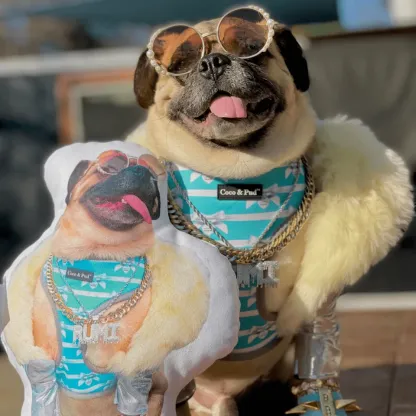 Create Your Own Custom Pet Pillow