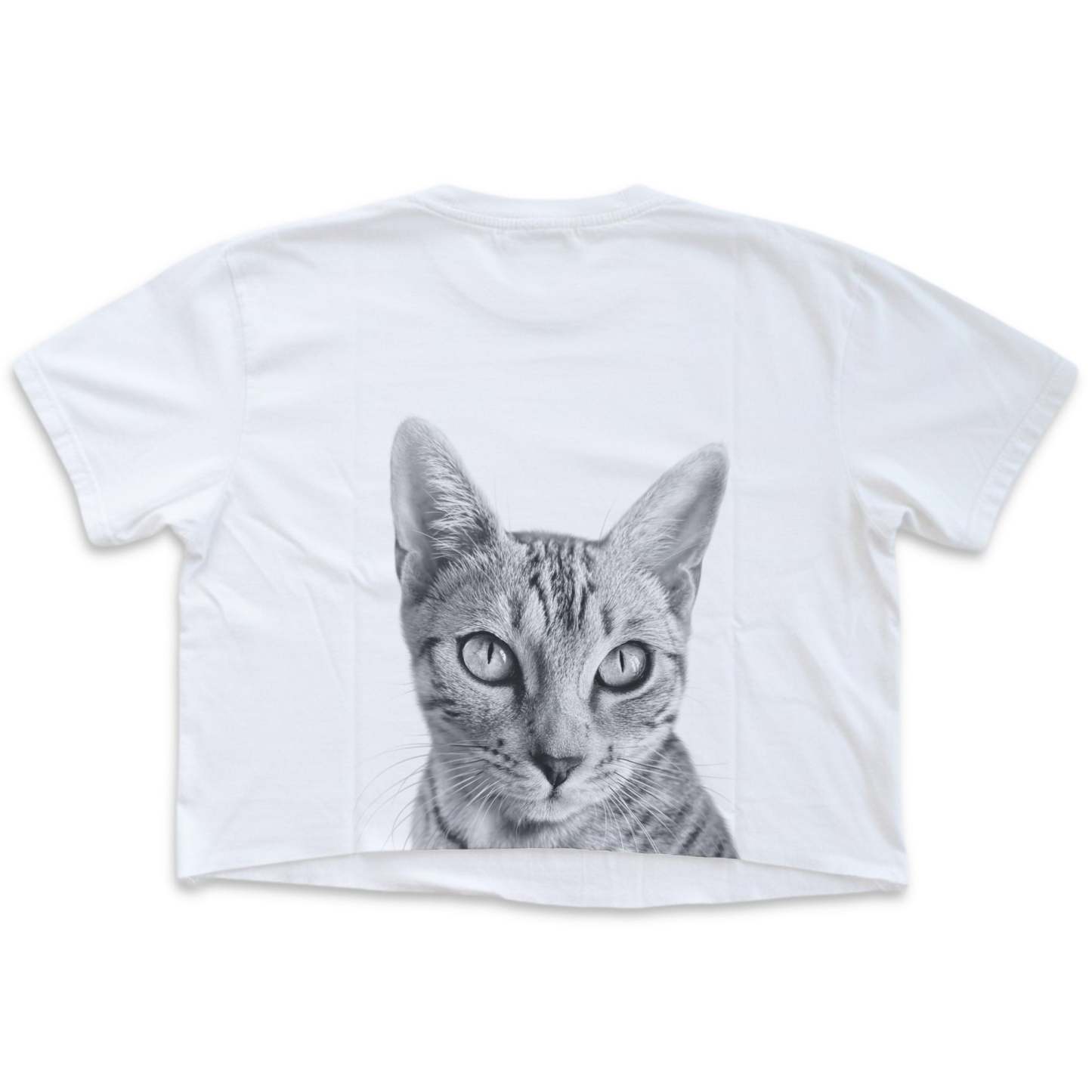Pet-In-Pocket Cropped Tee - Pocket & Back Graphic