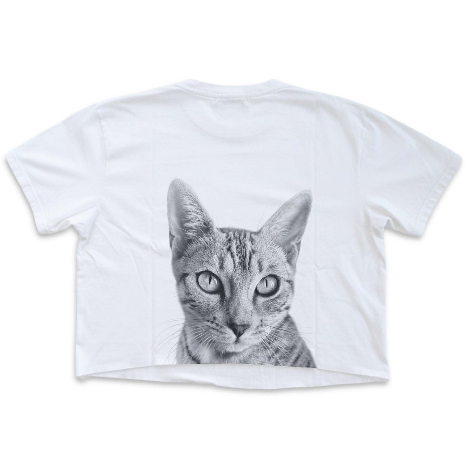 Pet-In-Pocket Cropped Tee - Pocket & Back Graphic