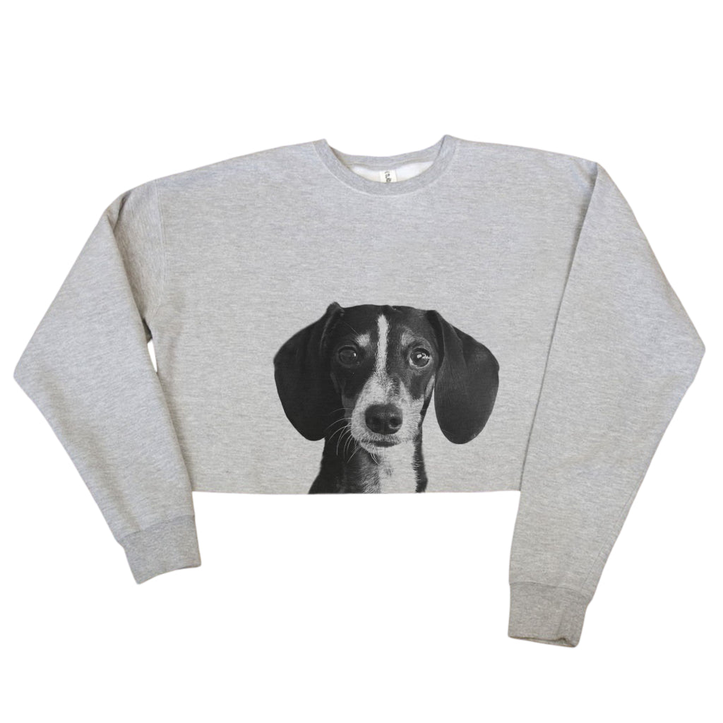 Pet-In-Pocket Cropped Tee - Pocket & Back Graphic