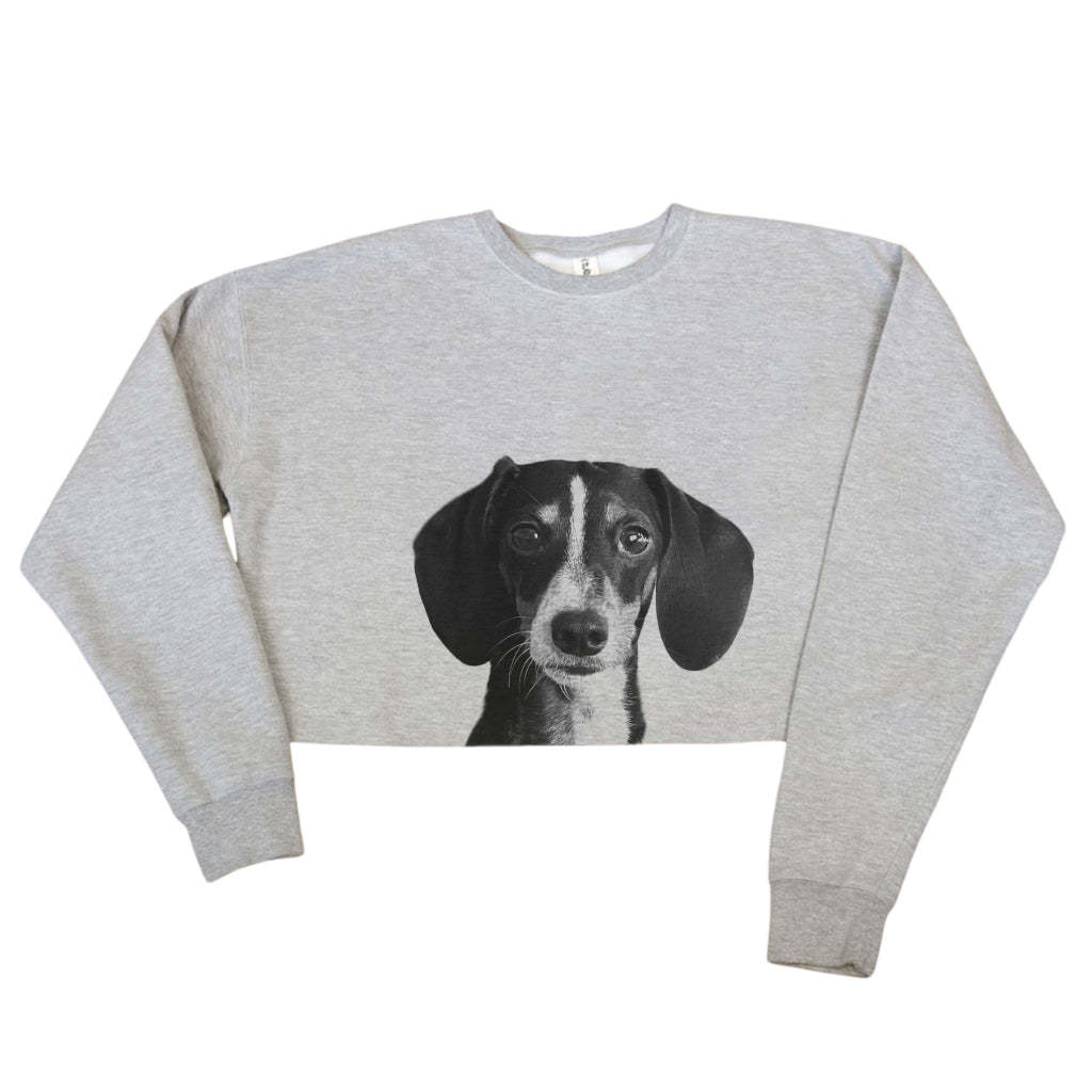 Pet-In-Pocket Cropped Tee - Pocket & Back Graphic