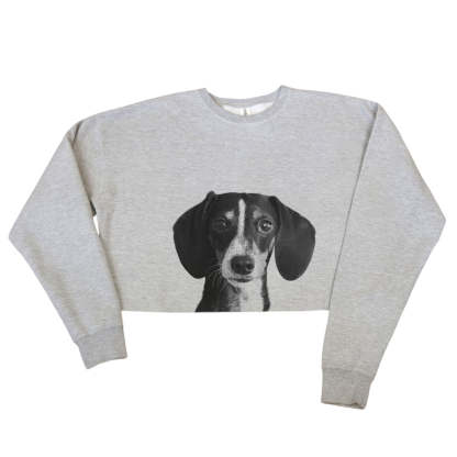 Pet-In-Pocket Cropped Tee - Pocket & Back Graphic