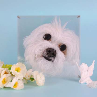 Custom 3D Glass Painting Pet Painting Cat/Dog Portrait Art-Artloverhouse
