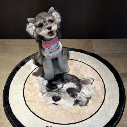 Custom Pet Rug - Personalized Pet Portrait Decorative Rug