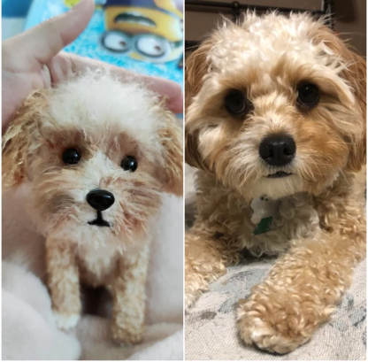 I AM Here For You - Custom Pet Crochet