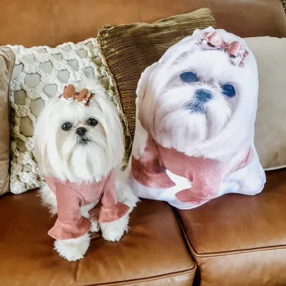 Create Your Own Custom Pet Pillow