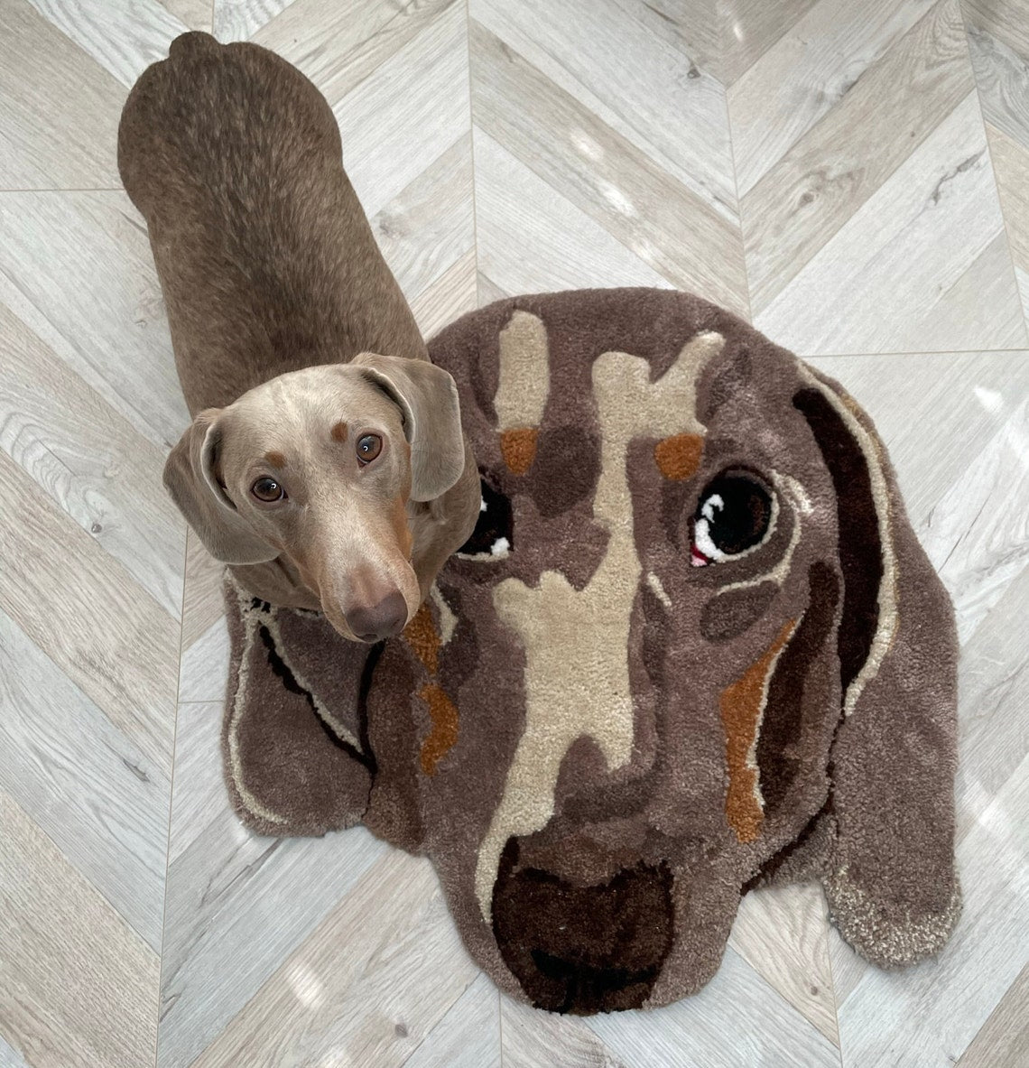 Custom Pet Rug - Tufted Rug - Personalised Pet Dog Portrait Rug