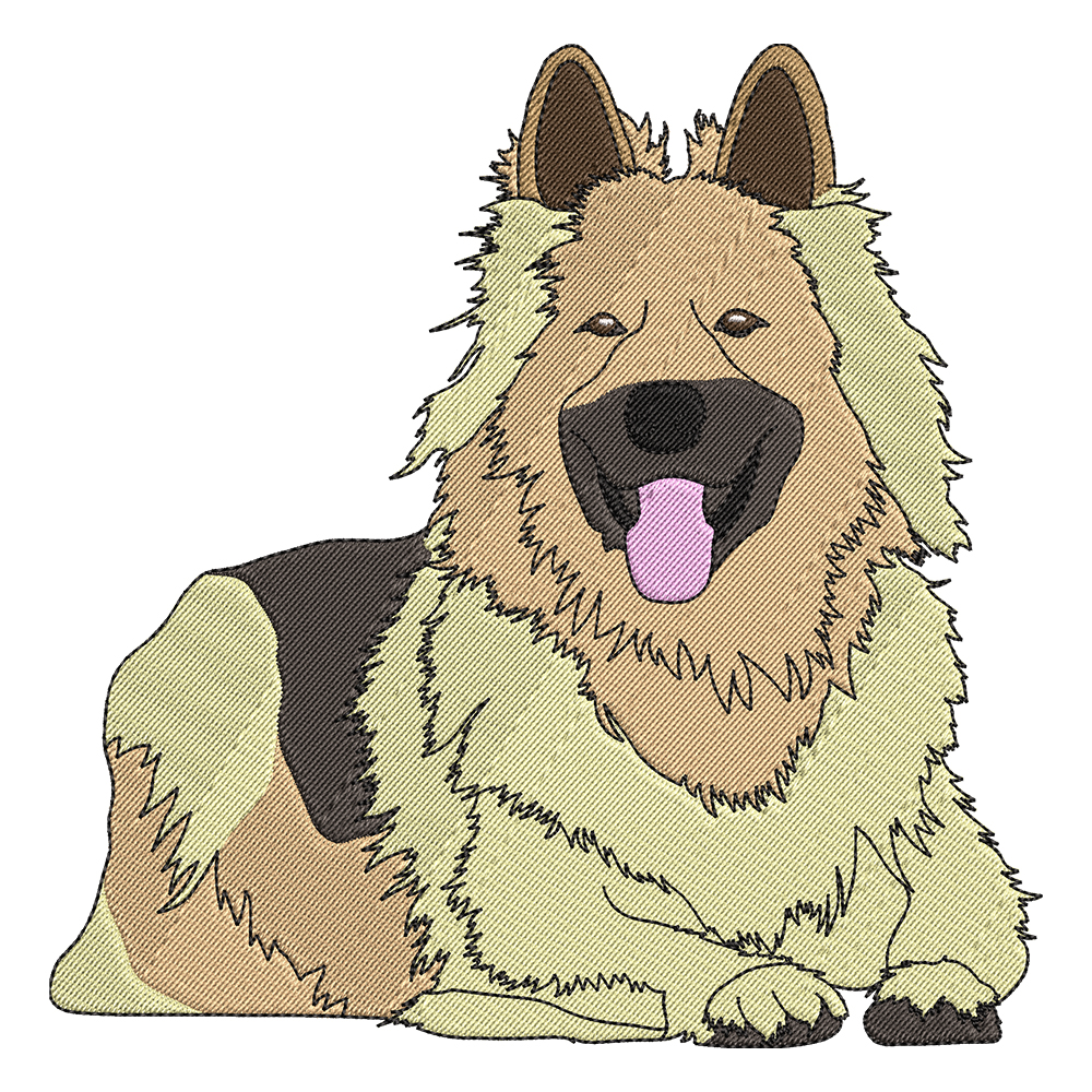 Custom Pet Photo Music Embroidery Player