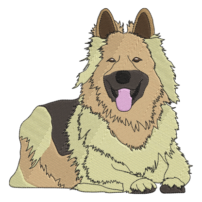 Custom Pet Photo Music Embroidery Player