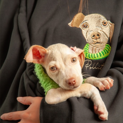 Custom Pet Color Embroidered Sweatshirt T-Shirt - Multiple Pet Portraits Available