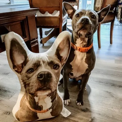 Create Your Own Custom Pet Pillow