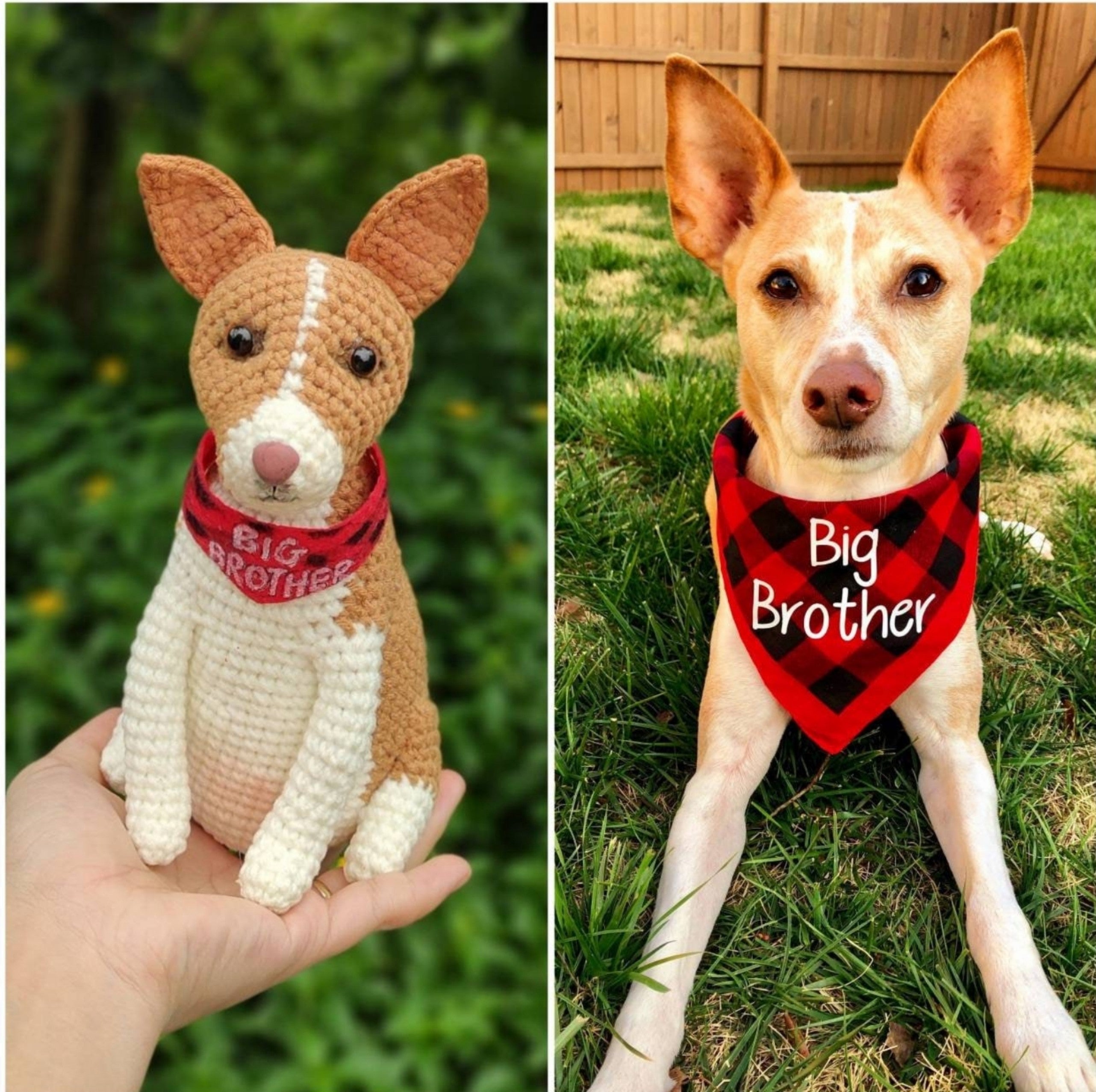 I AM Here For You - Custom Pet Crochet