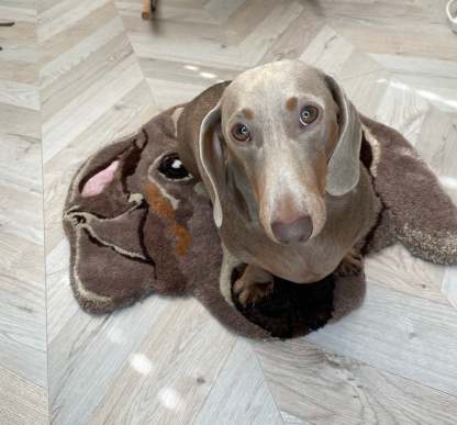 Custom Pet Rug - Tufted Rug - Personalised Pet Dog Portrait Rug