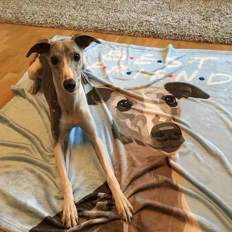 Personalized Pet Photo Blankets Painted Art Portrait Fleece Blanket