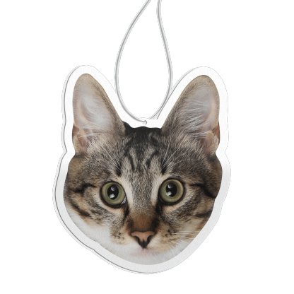 Personalised Custom Car Air Freshener With Your Photo