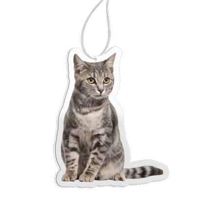 Personalised Custom Car Air Freshener With Your Photo