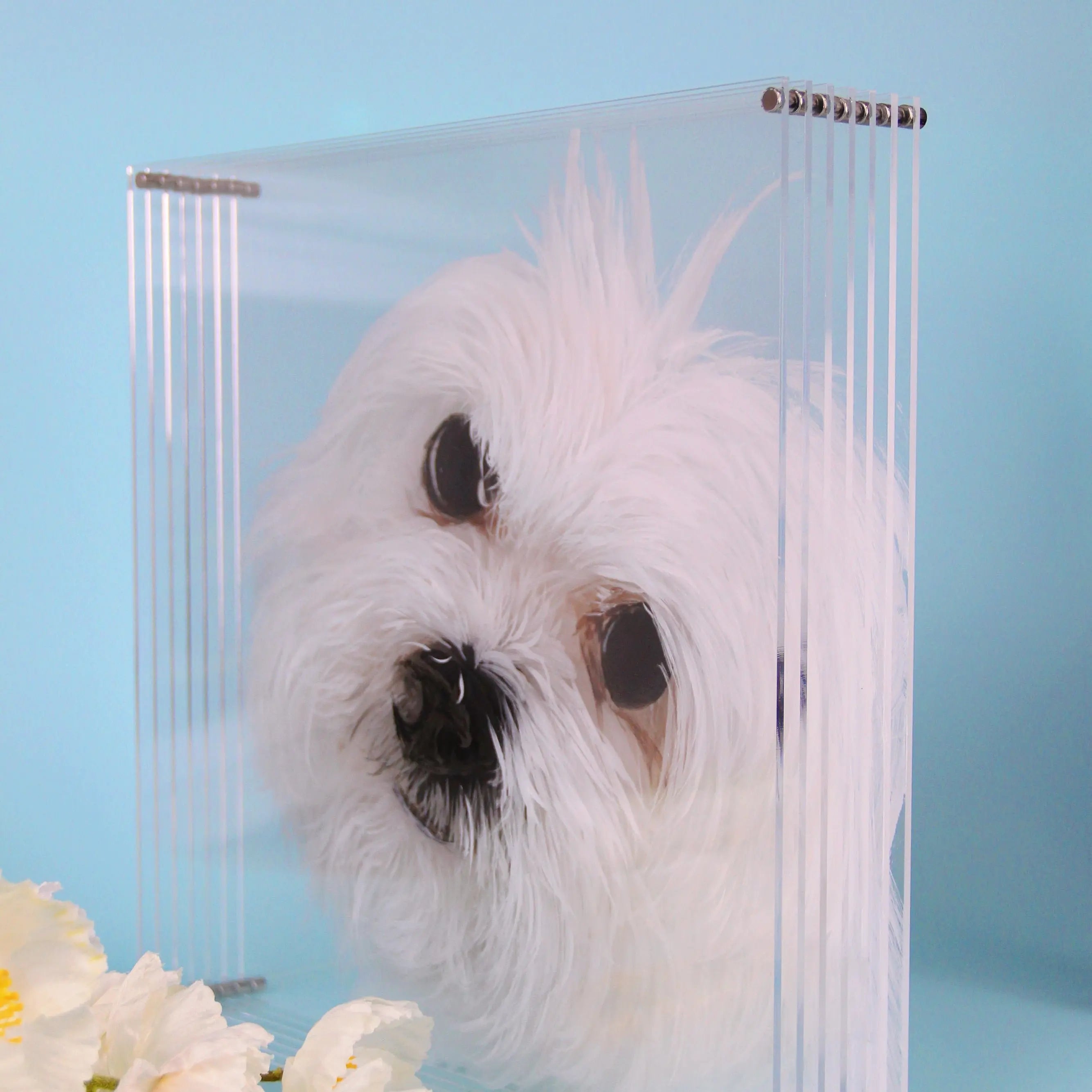 Custom 3D Glass Painting Pet Painting Cat/Dog Portrait Art-Artloverhouse