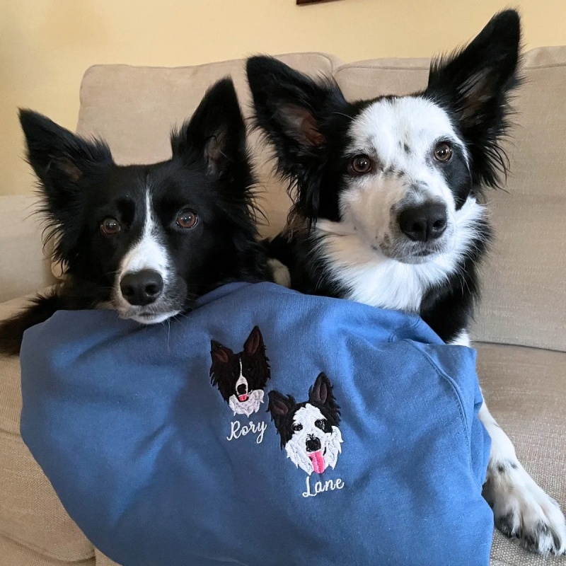 Personalized Pet Portrait Embroidered Sweatshirt Hoodie T-shirt 