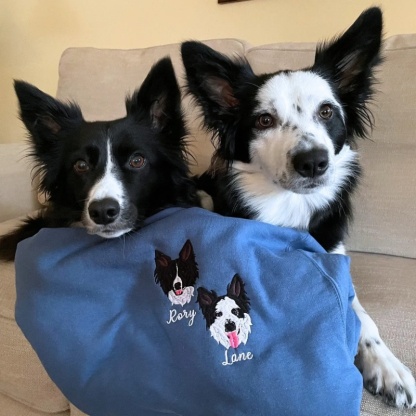 Personalized Pet Portrait Embroidered Sweatshirt Hoodie T-shirt 