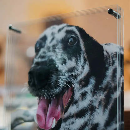 Custom 3D Glass Painting Pet Painting Cat/Dog Portrait Art-Artloverhouse